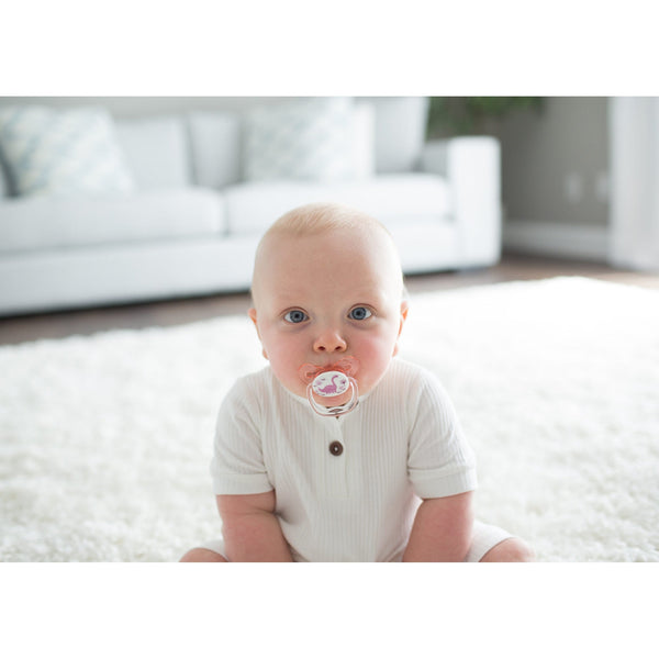 Dr Browns Pink Prevent Glow in the Dark Butterfly Shield Soother Stage 2