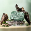 Basil Bento Quad 4-Compartment Stainless Steel Lunchbox 800 ml Emerald Moss