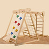 Curious Cub Foldable Jungle Gym