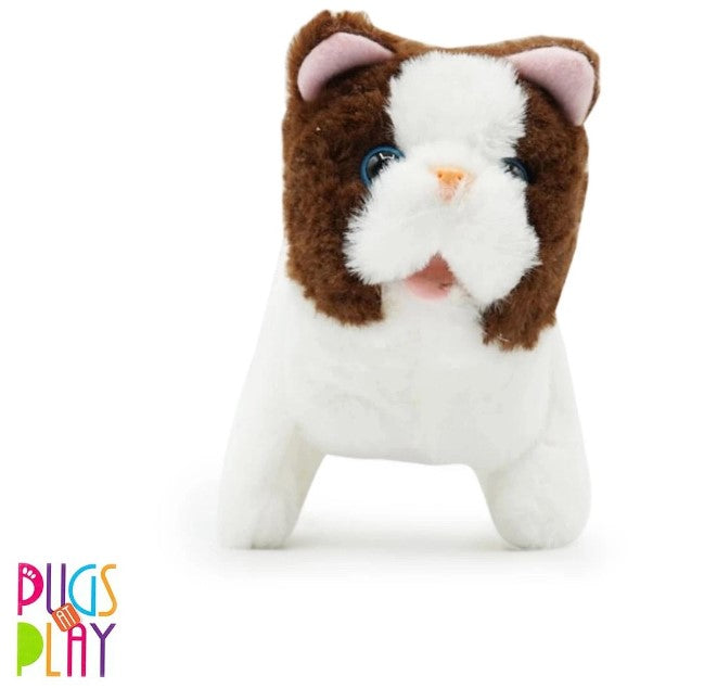 FuzzBuzz Cat Pets Bella 11 × 17.5 × 16.5 cm