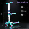 R for Rabbit Road Runner Stellar Duo 2-in-1 Kick Scooter One Size Green Purple