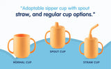 Hopop 3-in-1 Sipper Cup with Spout & Straw 210 ml Grey