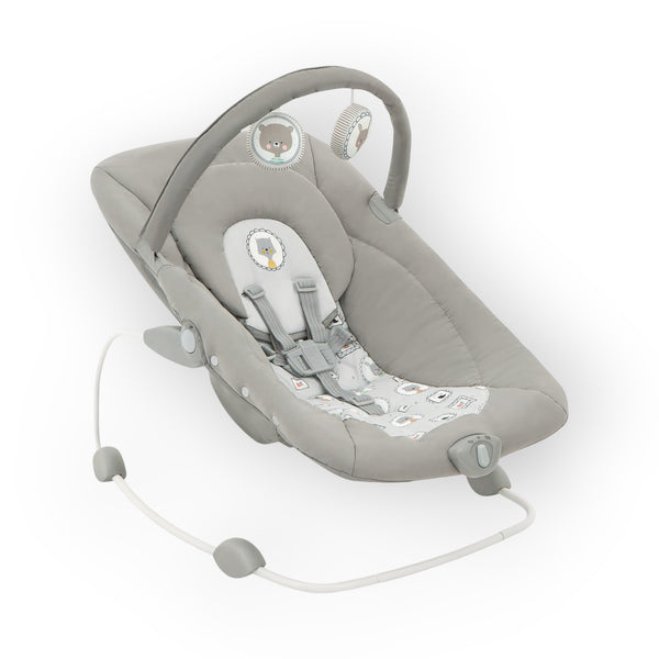 Joie Dreamer™ Compact Rocker & Bouncer – Frankie & Friends