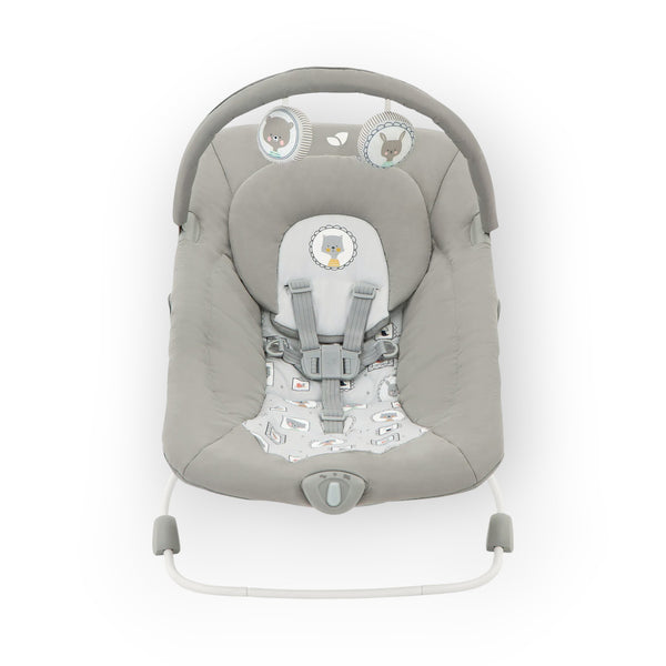 Joie Dreamer™ Compact Rocker & Bouncer – Frankie & Friends