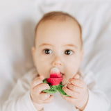 Oli & Carol Ramonita The Radish Chewy Teether