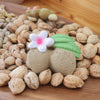Oli & Carol Aly The Almond Natural Rubber Teether