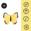 Oli & Carol Katia The Butterfly Natural Rubber Teether