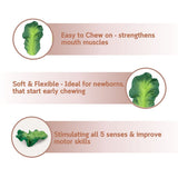 Oli & Carol Kendall The Kale Natural Rubber Teether