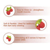 Oli & Carol Valery The Raspberry Natural Rubber Teether