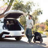 Nuna Mixx Next Compact Stroller - Cedar