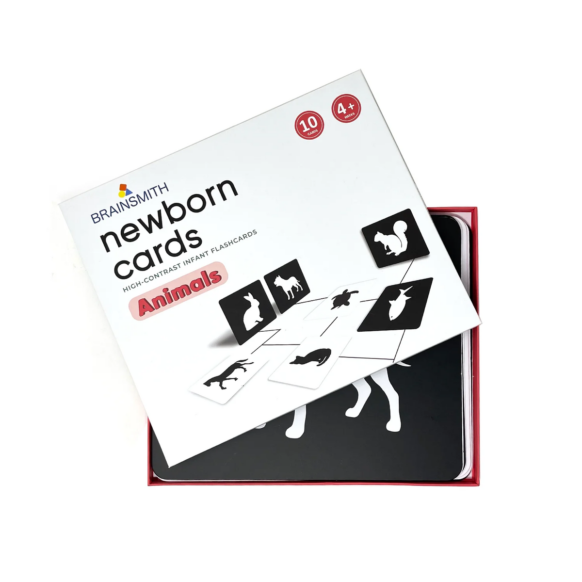 Brainsmith Animals Newborn Cards