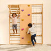 Curious Cub Wall Mounted Jungle Gym