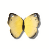 Oli & Carol Katia The Butterfly Natural Rubber Teether