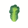 Oli & Carol Kendall The Kale Natural Rubber Teether