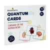Brainsmith Organs of the Human Body Quantum Flash Cards Set of 10 Cards 25.8 × 22.1 cm Multicolor