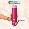 Basil HydraFizz Insulated Sipper Bottle 800ml 12Y+ – Classic Plum