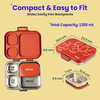 Basil Bento Quad+ Lunchbox 1250 ml Jaipuri Jaali
