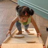 Curious Cub 4 in 1 Indoor Play Area