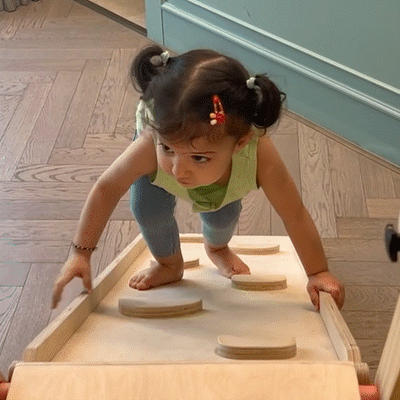 Curious Cub 4 in 1 Indoor Play Area