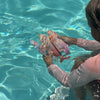 SUNNYLIFE Dive Buddies Melody the - Mermaid Multi Set of 3
