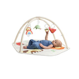 Skip Hop Geometric Wonders Baby Activity Gym – Multicolour