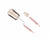 Bottle Brush Spectra Bottle & Nipple Brush Cleaner 360° 2-in-1 Set – Ivory