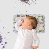 Abracadabra Rai Pillow - Transport