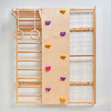 Curious Cub Wall Mounted Jungle Gym