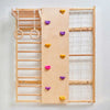 Curious Cub Wall Mounted Jungle Gym