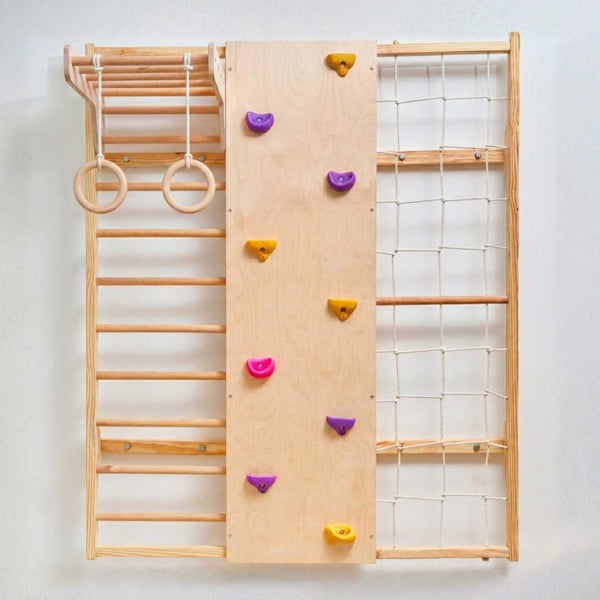 Curious Cub Wall Mounted Jungle Gym