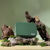 Basil Bento Quad 4-Compartment Stainless Steel Lunchbox 800 ml Wild Wood