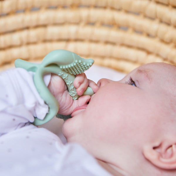 b.box Silicone Wrist Teether – Fox Sage Green | 3M+