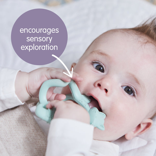 b.box Silicone Wrist Teether – Fox Sage Green | 3M+