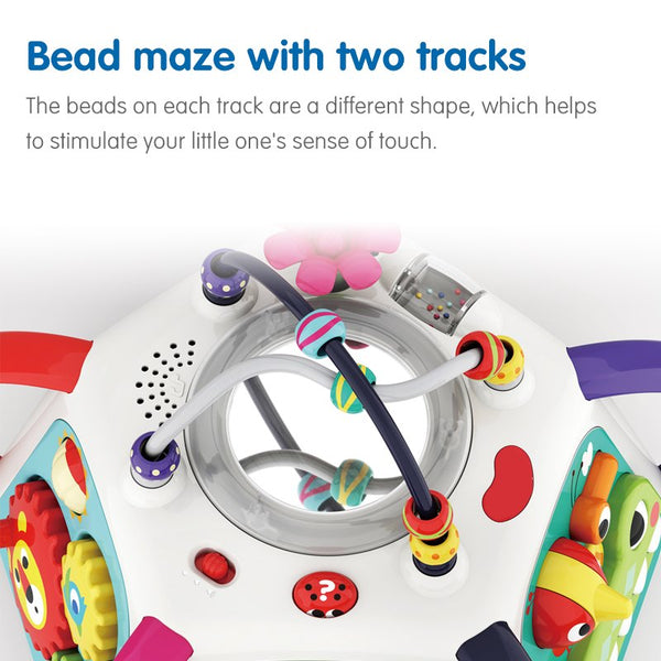 Hola Forest Activity Pyramid