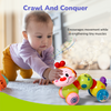 R For Rabbit Orapple Wiggle Colorful Musical Push Toy