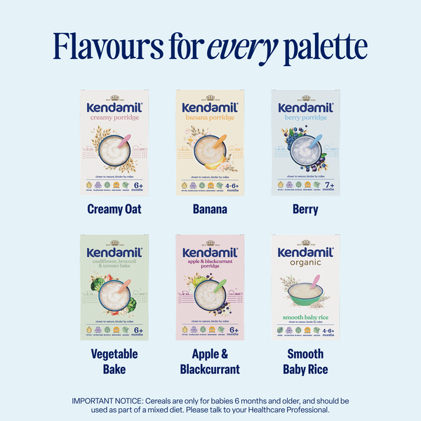 Kendamil Berry Porridge