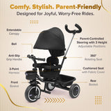 Chicco 4-in-1 Evolution Trike One Size Black