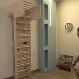 Curious Cub Wall Foldable Jungle Gym