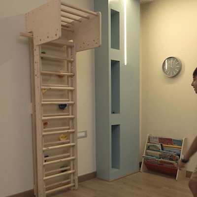 Curious Cub Wall Foldable Jungle Gym