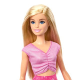Barbie Family & Friends Limitless Adventure Malibu Fashion Doll Standard Size Multicolour