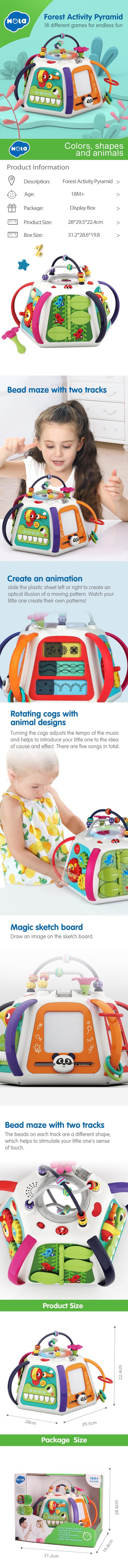 Hola Forest Activity Pyramid