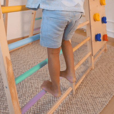 Curious Cub 7 in 1 Indoor Play Area