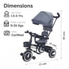 R For Rabbit Tricycle Tiny Toes T30 - Ace Grey