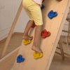 Curious Cub Foldable Jungle Gym