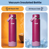 Basil HydraFizz Insulated Sipper Bottle 800ml 12Y+ – Classic Plum