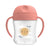 Dr Browns Soft Spout Transition Cup 6 Oz - Pink
