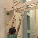 Curious Cub Wall Foldable Jungle Gym