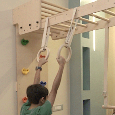 Curious Cub Wall Foldable Jungle Gym