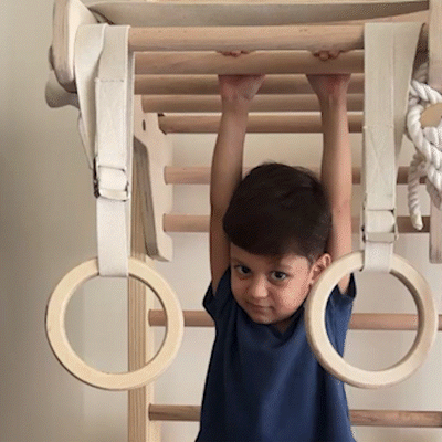 Curious Cub Wall Mounted Jungle Gym