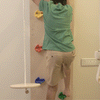 Curious Cub Wall Foldable Jungle Gym